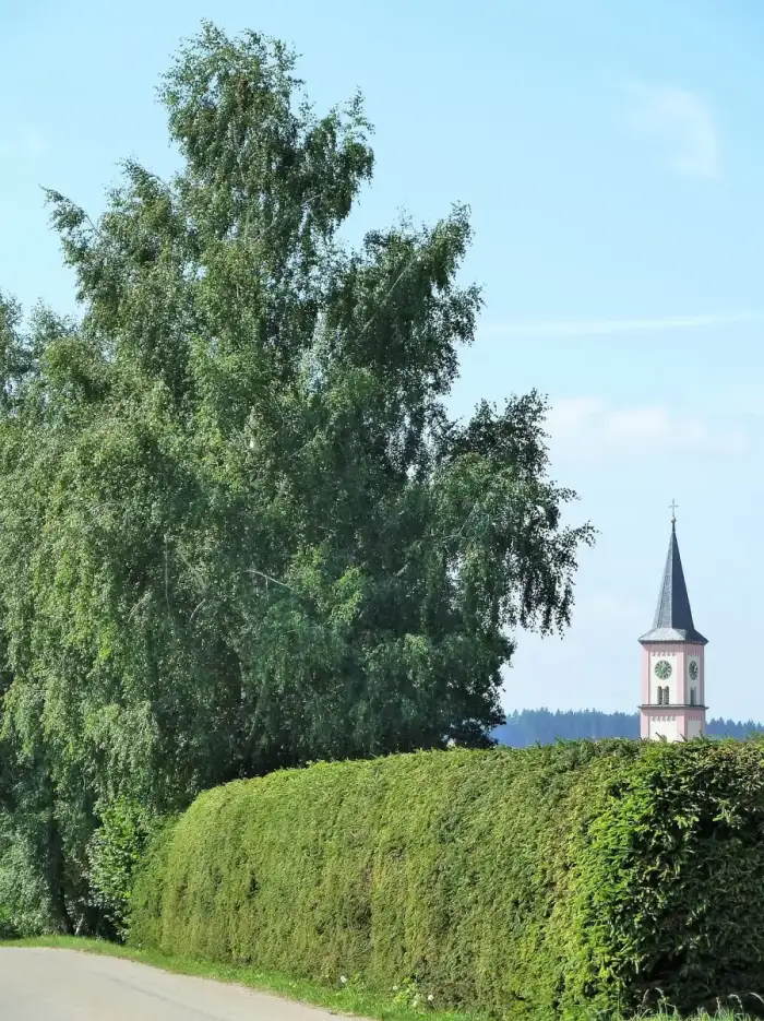 Attenweiler, Ausschnitt