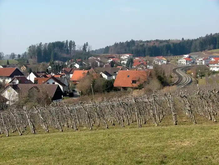Bodolz, Ausschnitt
