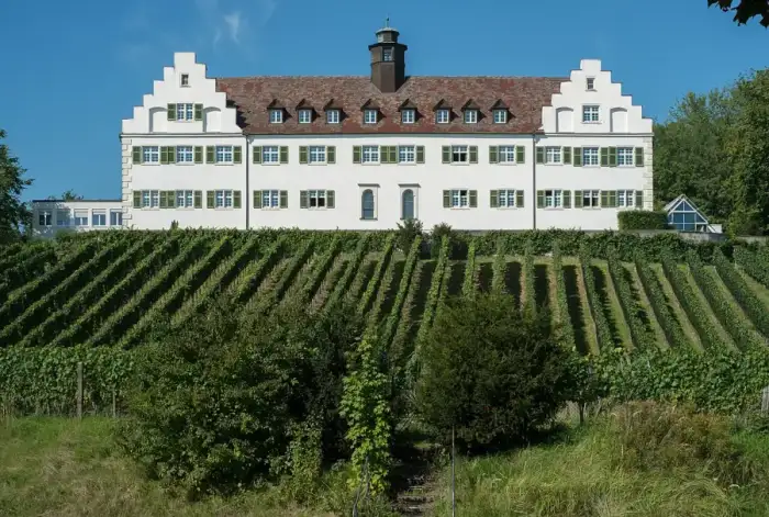 Immenstaad am Bodensee, Ausschnitt